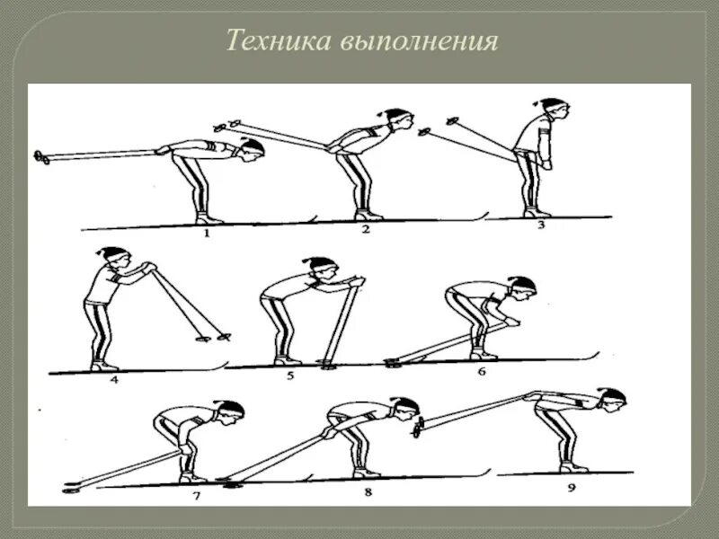 Реферат по физкультуре на тему лыжные ходы. Одношажный попеременный двухшажный ход. Одношажный и двухшажный ход на лыжах. Классические лыжные ходы. Техника выполнения лыжных ходов.