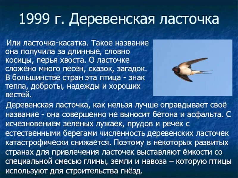 Ласточка городская и деревенская. Ласточка. Ласточка. Деревенская ласточка касатка. Деревенская ласточка для презентации.