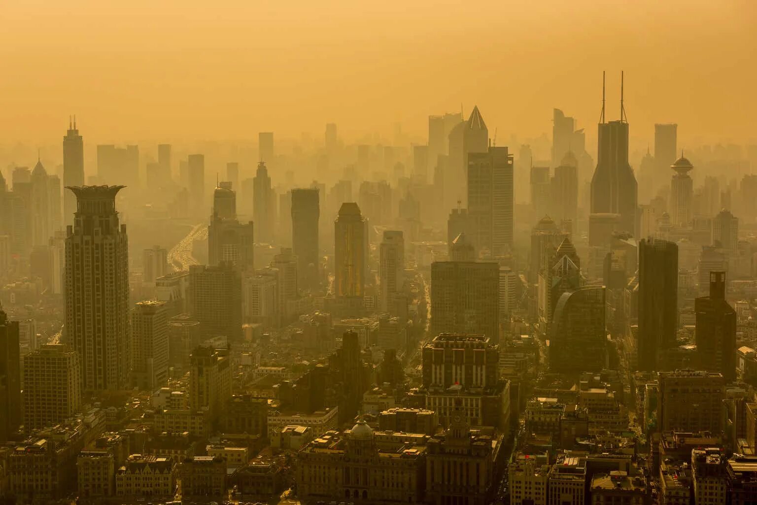 Pollution is us all