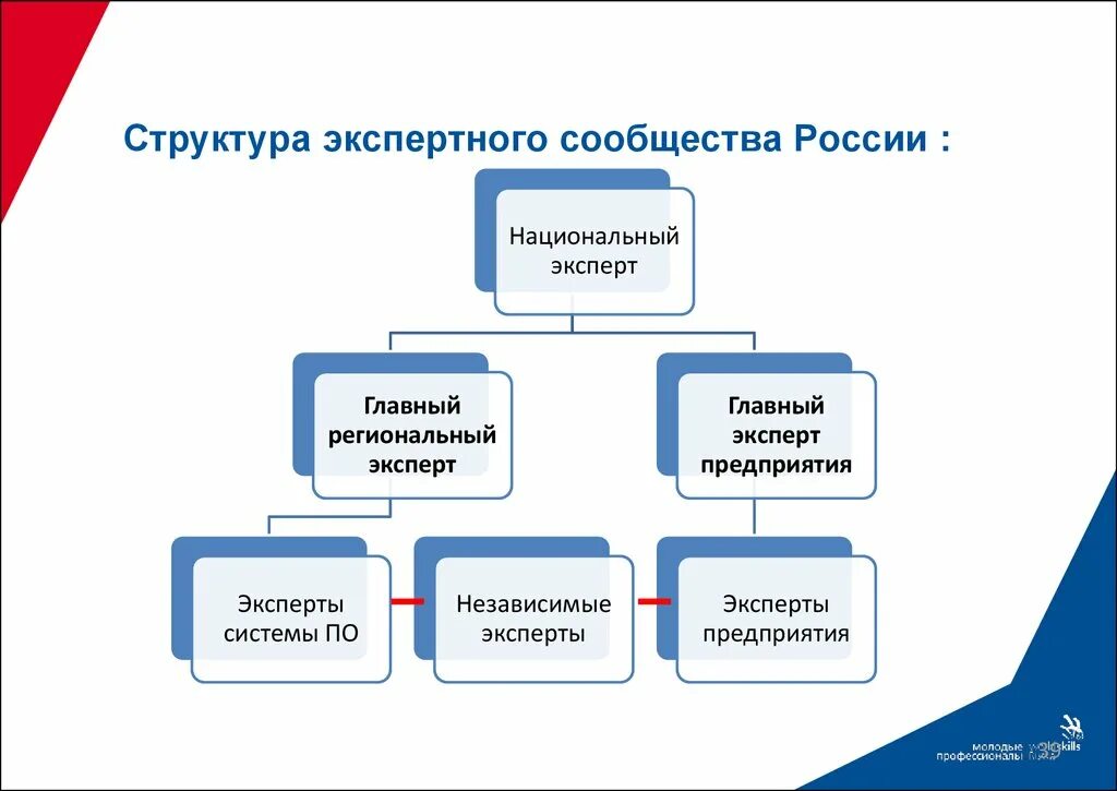 Экспертные организации россии. Экспертные сообщества России. Структура экспертного сообщества WORLDSKILLS В России. Экспертное сообщество. Структура экспертного комьюнити.