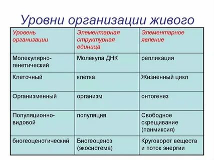 Тканевый уровень примеры организмов