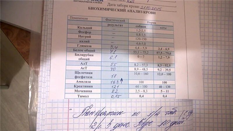 Аст 40 у мужчин. Показатели биохимии крови АСТ И алт. Норма крови алт и АСТ В биохимическом анализе у ребёнка. АСТ анализ крови что это. Алт анализ крови что это.