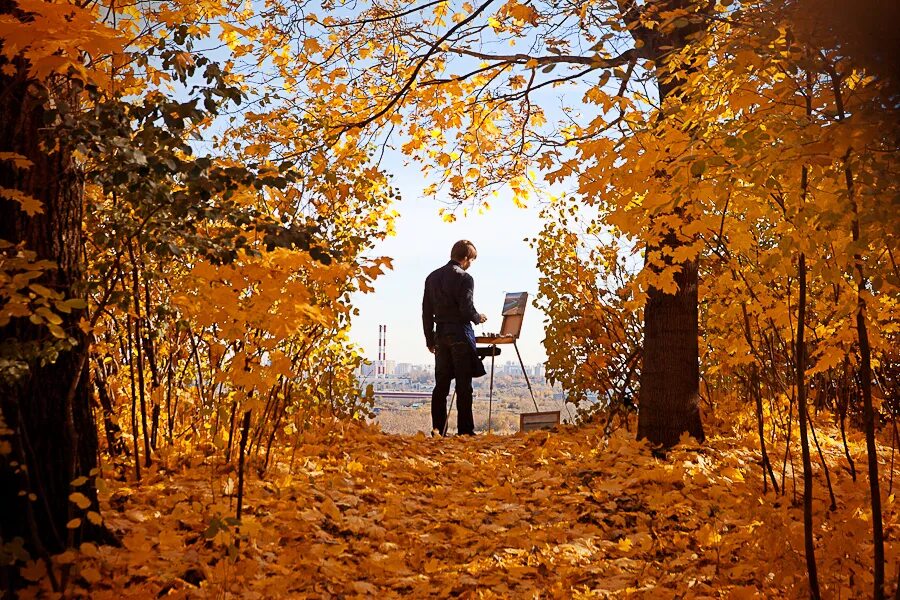 Гулять по аллее. Осенняя прогулка. Люди осенью. Человек в осеннем лесу. Прогулка в осеннем парке.
