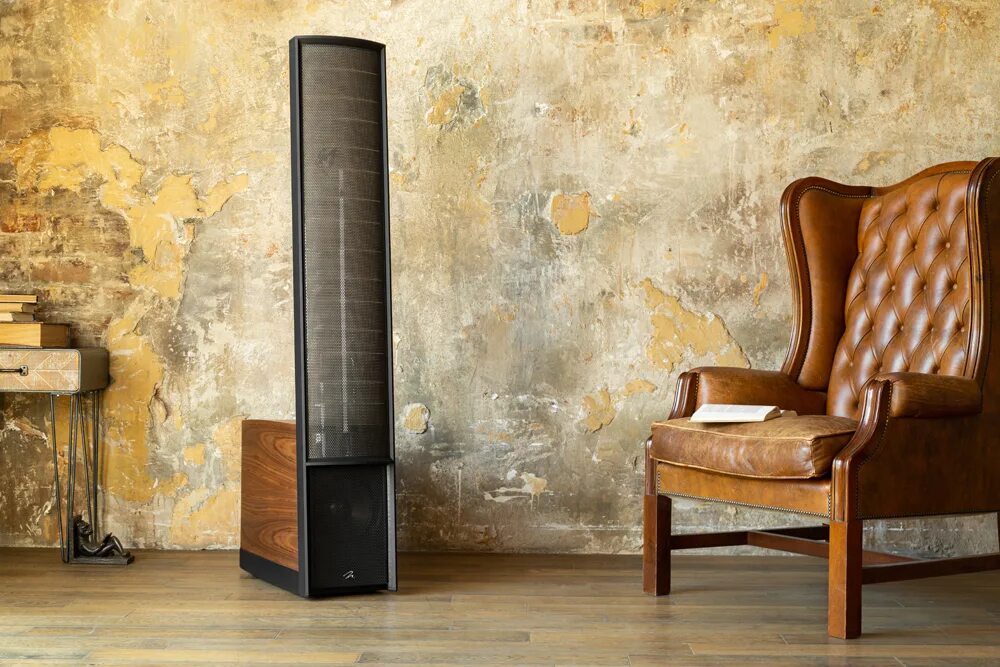 Martin logan esl. Martin logan electromotion esl. электростаты martin logan. martin logan electromotion esl x. martin logan neolith.