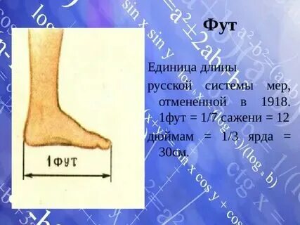 Чему равно 6 футов. Чему равно 6 футов. Чему равно 6 футов. Чему равно 6 футов. Чему равно 6 футов.