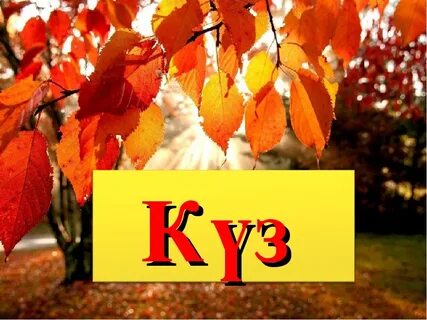 Ноябрь на казахском языке