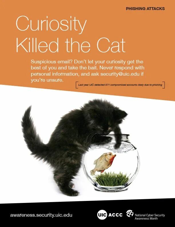 Curiosity killed the. Пословица Curiosity Killed a Cat.. Curiosity Killed the Cat русский эквивалент. Curiosity Killed the Cat иллюстрация. Эквивалент к пословице Curiosity Killed the Cat.