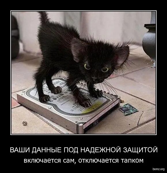 пожалуйста фото смешные. включи их сама. мультфильм гадкий я агнес. мультфильмы маша и медведь 2017 года. телевизор включился сам по себе ночью.