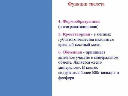 Кроветворную функцию выполняет красный костный