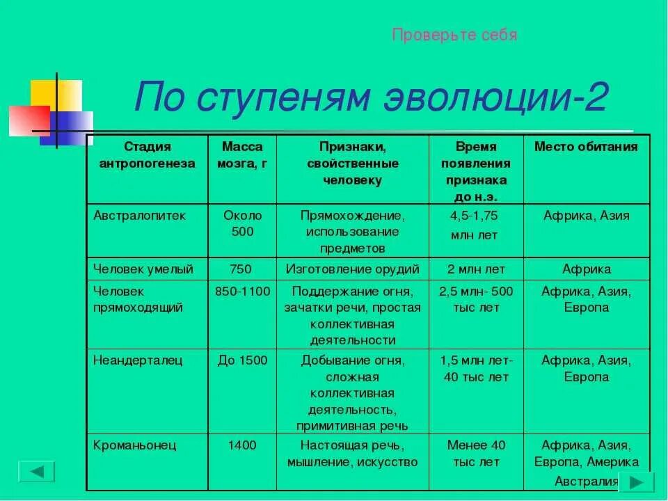 Таблица появления человека. Таблица основные этапы антропогенеза таблица 11 класс. Основные этапы антропогенеза таблица 11 класс. Стадии антропогенеза таблица 9. Таблица основные стадии антропогенеза таблица 11 класс.