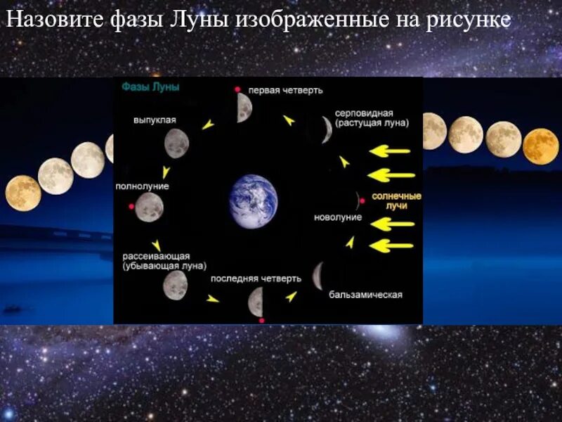 Какие явления можно наблюдать на луне. Фазы Луны. Бильзигическая фаза Луны. Назовите фазы Луны. Наблюдение фаз Луны.