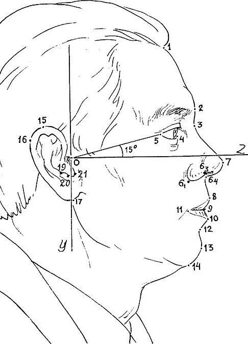 Точка t4. Акупрессурные точки на лице. Нейролимфатические точки атлас. Координатную точку t=-1. Точка t4.