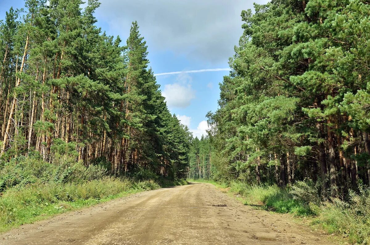 Погода хвойный амурская