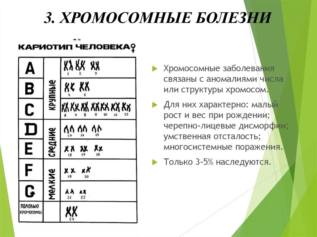 Болезни связанные с изменением хромосом. Хромосомные заболевания. Хромосомные заболевания таблица. Кариотипы хромосомных болезней. Хромосомные болезни человека кариотип.