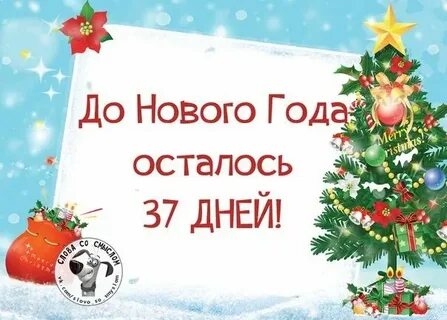 Сколько осталось до 21 сентября 2024 года