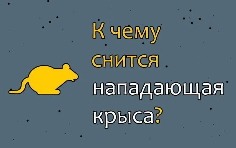 Сон белые крысы к чему снится женщине