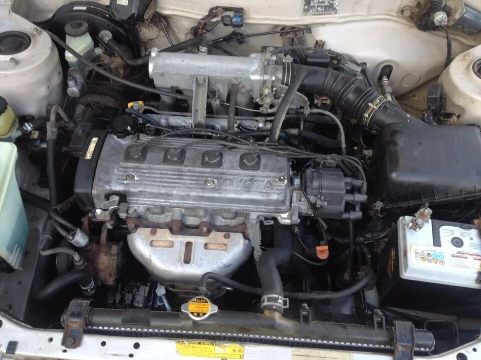 2009 Toyota Corolla Image. Photo 15 of 67