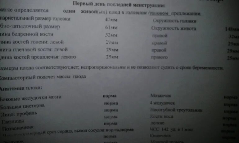 Узи 20 недель нормы. 20 Нед беременности показатели УЗИ норма. Нормальные показатели УЗИ В 20 недель беременности. На 20 неделе беременности УЗИ Норы. Показатели УЗИ на 20 неделе беременности норма.