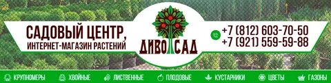 Садовый центр октябрьский