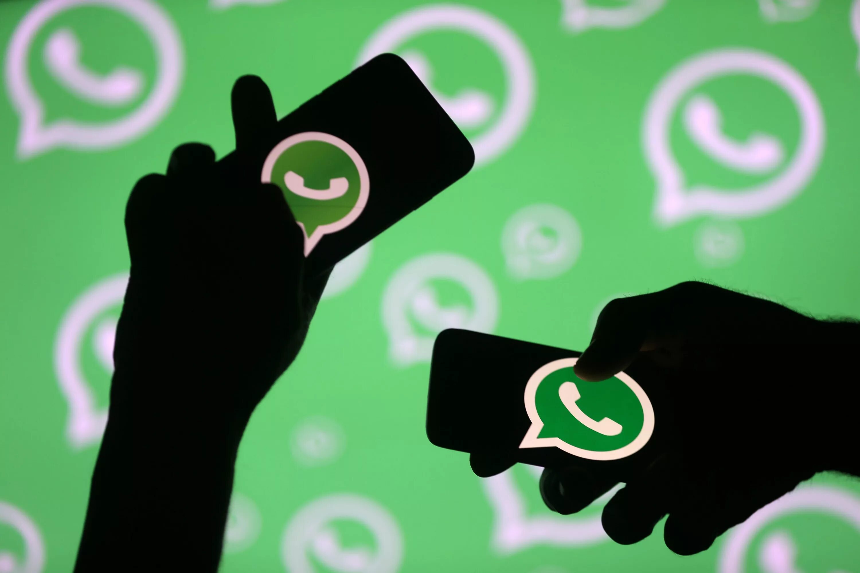 Фотки whatsapp