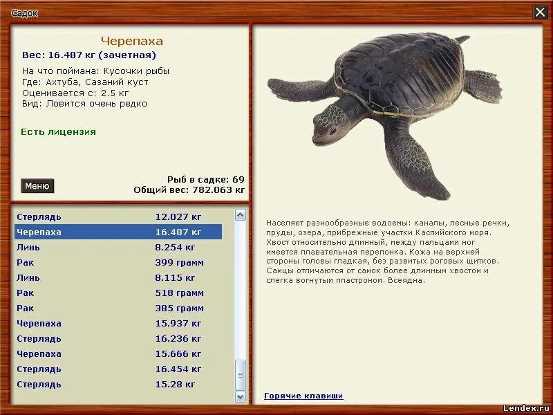 черепахи на ахтубе. где ловить черепах. где ловить черепах. русская рыбалка деревенские просторы черепаха. норма веса для черепахи.