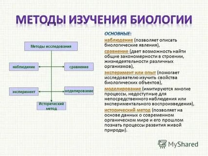 Примеры метода сравнения в биологии