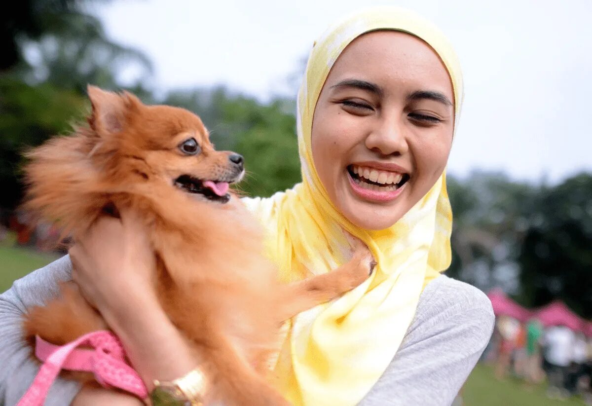 Мусульманские животные. Мусульманка и животные. Мусульманская собака. Собака в Исламе. Собаки в Малайзии.