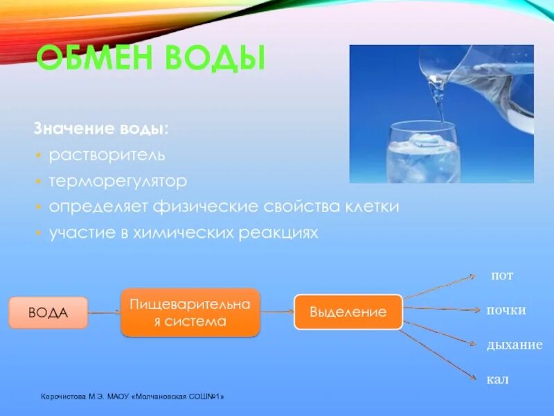 Обмен воды и Минеральных солей в организме человека. Обмен Минеральных солей в организме схема. Обмен воды и Минеральных солей схема. Обмен воды и Минеральных веществ в организме человека схема.