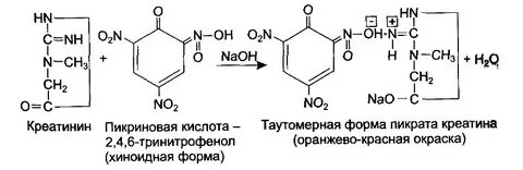 Метод яффе креатинин