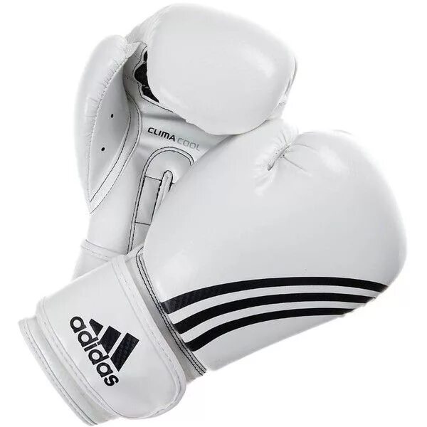 Боксёрские перчатки adidas ADISPEED 501. Boxing Gloves adidas. Boxing Gloves адидас. Adidas BOXFIT перчатки боксерские. Адидас бокс