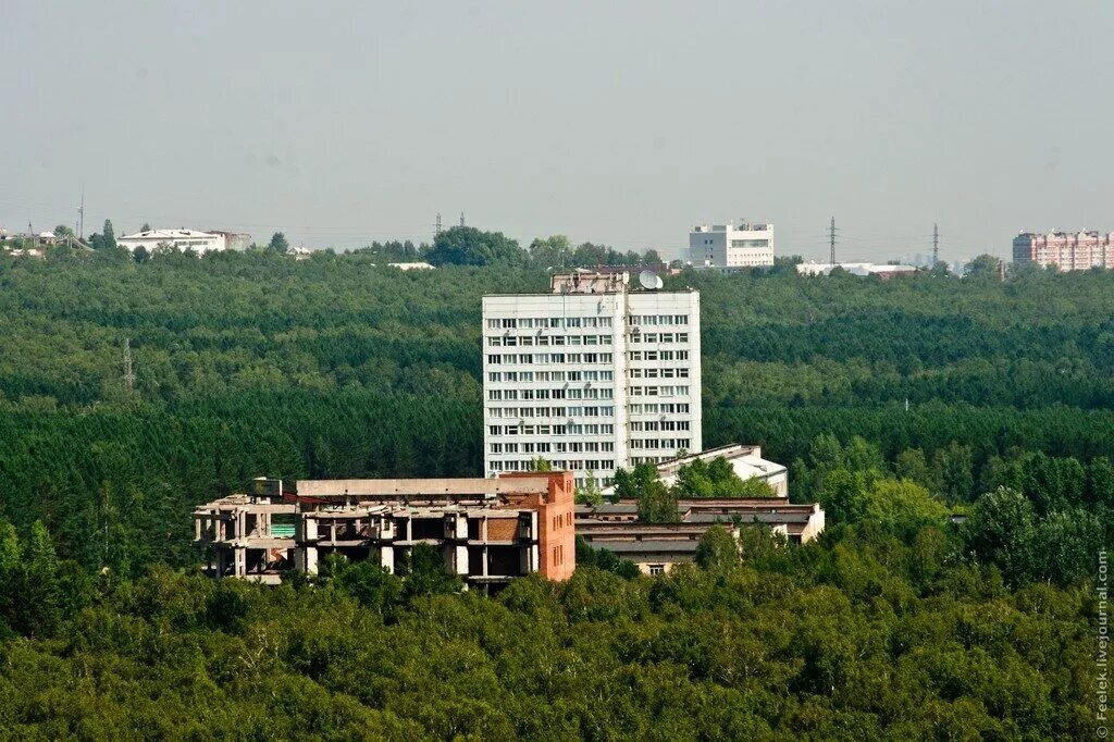 Ул академгородок 15а красноярск. Со ран академгородок красноярск. Со ран академгородок красноярск. Больница в академгородке красноярск. Поселок алатау ияф.
