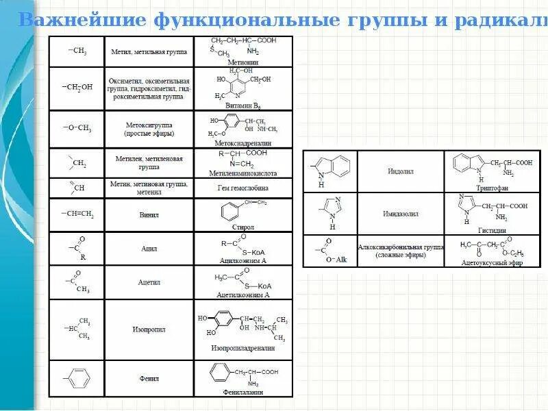 Орел функциональная группа. Важнейшие радикалы в органической химии. Таблица органических соединений радикалов. Функциональные радикалы органических веществ. Таблица углеводородные радикалы и функциональные группы.