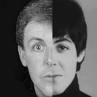 False paul