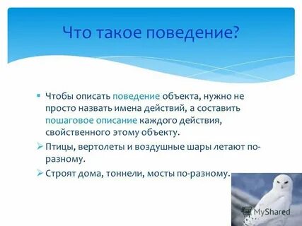 Опиши кратко этот объект