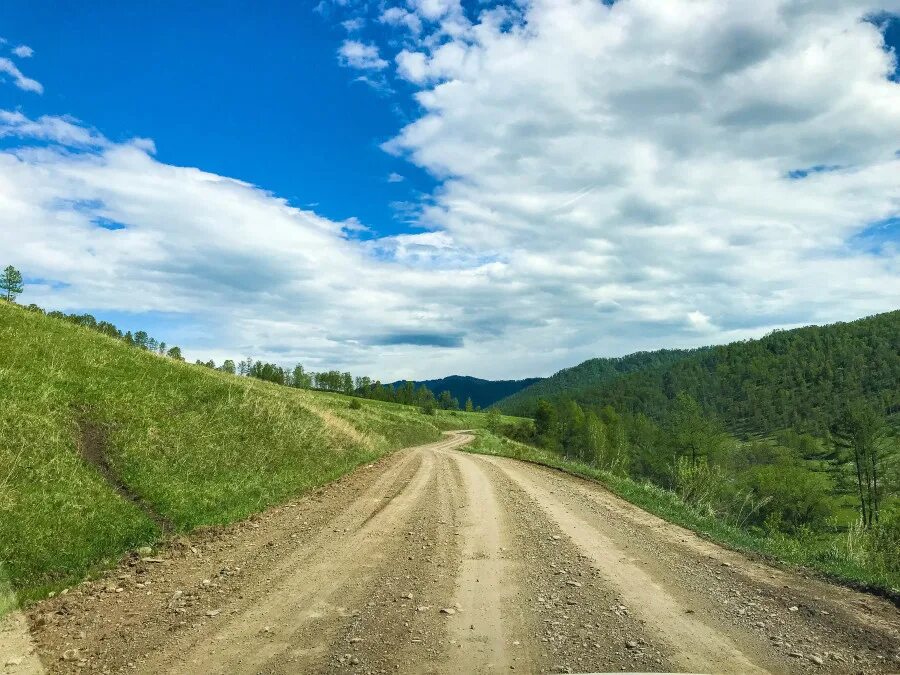 Погода в ае алтайский край. Дорога черга Белокуриха. Дорога Майма черга. Алтай дорога. Дорога Алтайское ая.