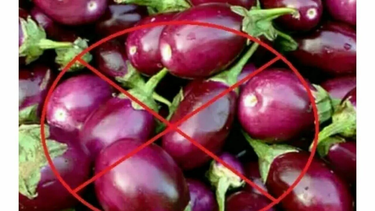 Каре ягненка на гриле. Дикий баклажан. Бринджал что это. Brinjal. Бринджал что это.