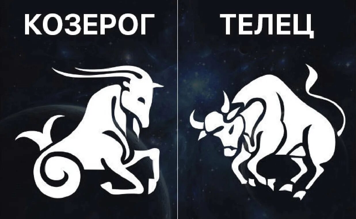 Козерог т козерог совместимость. Телец. козерог. телец и козерог символы.