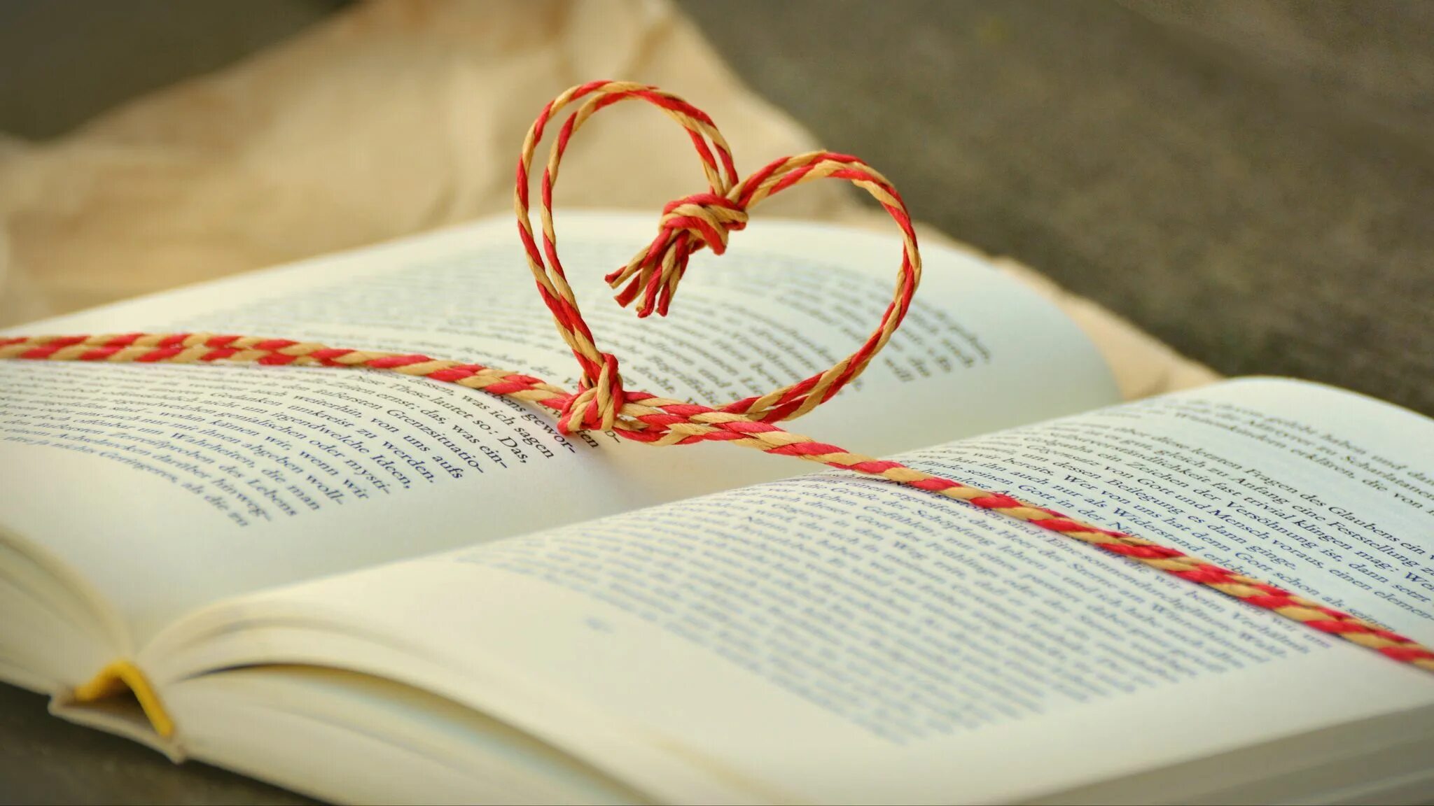 What does the book give you