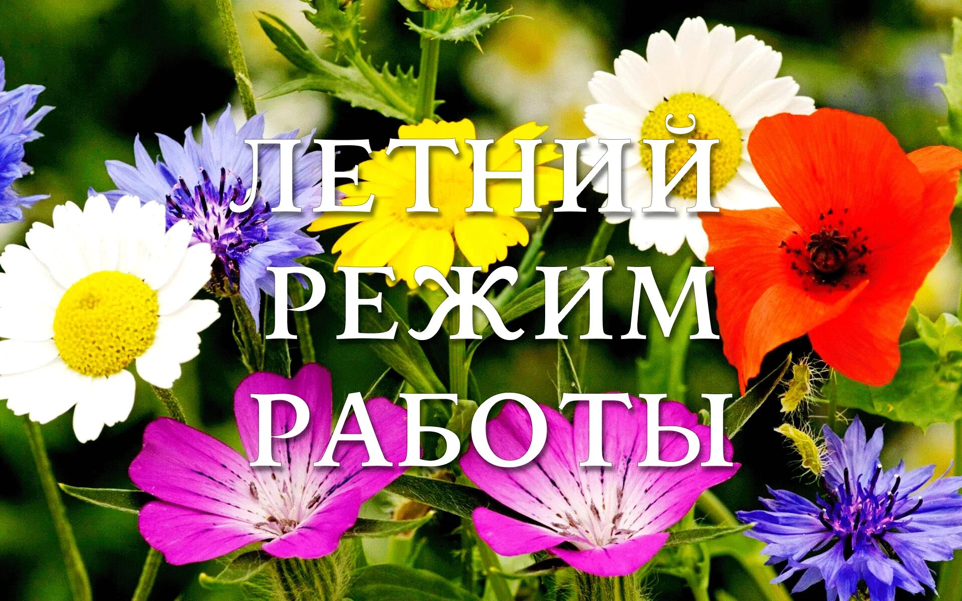 Со с 1 июля. Новое в законодательстве в 2022 году. Хорошего июльского дня и отличного настроения. Со с 1 июля. Красивое поздравление с новым днем.
