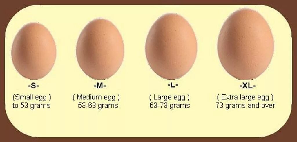 An egg перевод. Cooked eggs types. Яйцо по английский для детей. An egg перевод. Ways of cooking eggs.