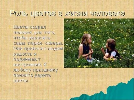 Роль цветов в жизни