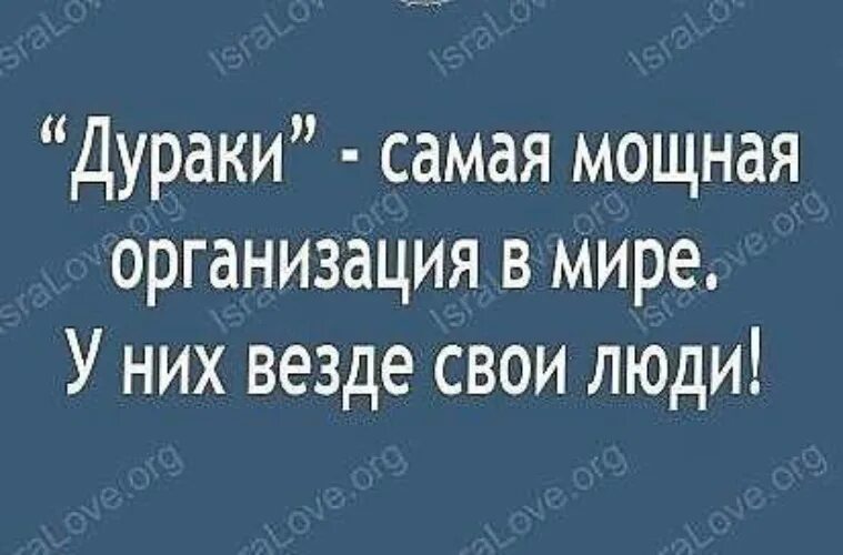 Сглупила вышла за дебила песня. Дураки самая мощная организация. Дурак человек. Картинки дураки самая мощная.