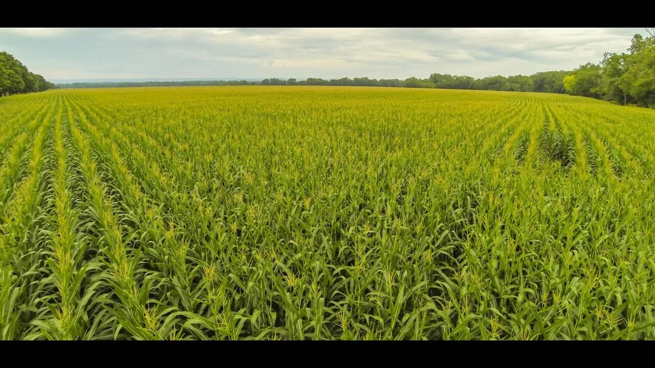 Экологическое сельское хозяйство. Common agricultural policy legislative. Стартап в сельском хозяйстве. Стартап проекты по сельскому хозяйству. Технологии в сельском хозяйстве.