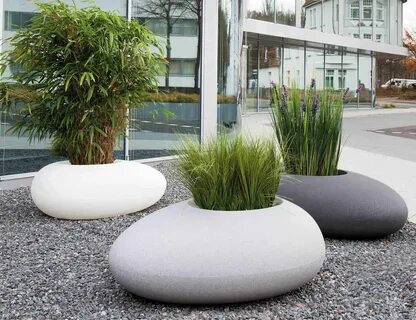 Rocking plants