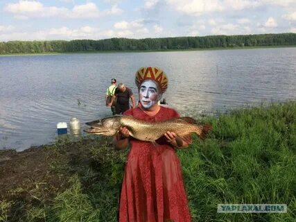 Рп5 демьянка