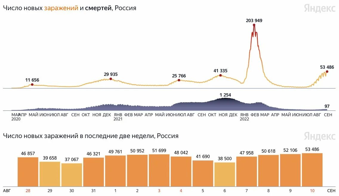 Коронавирус в России.