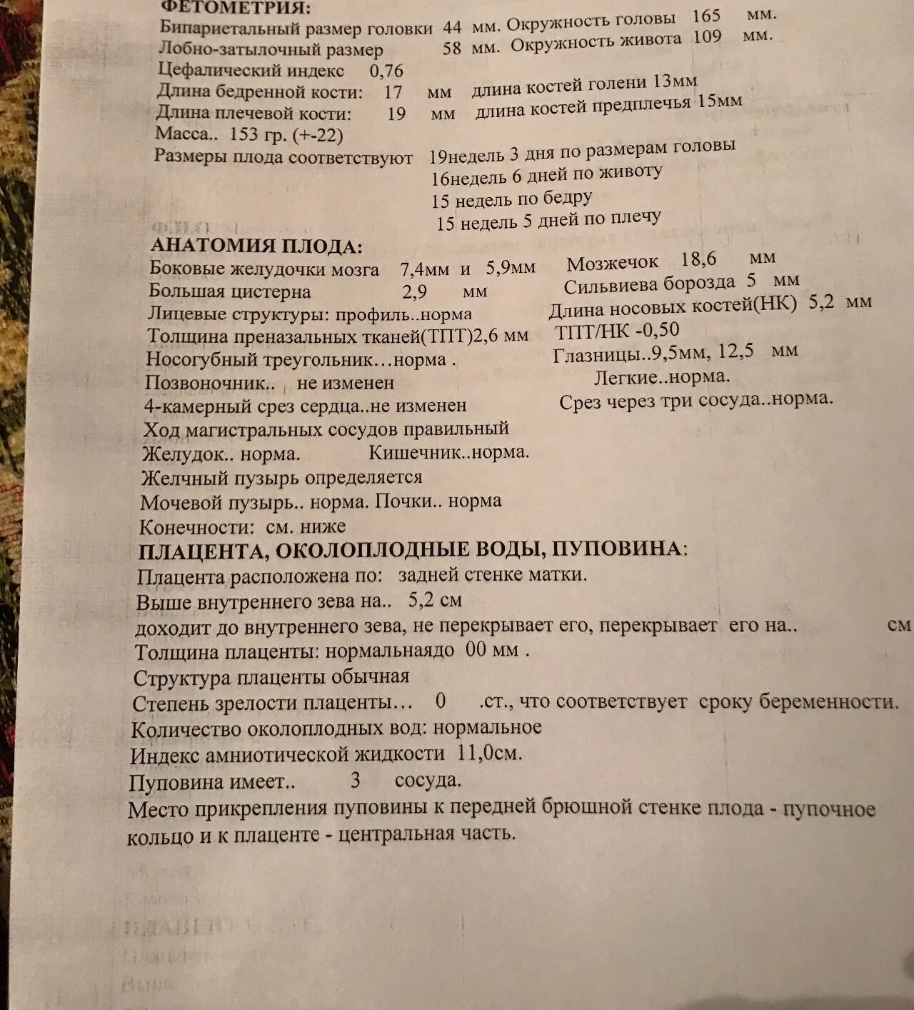 Мозжечок у плода норма. Фетометрия плода на 34 неделе беременности норма по УЗИ. Фетометрия норма 32 неделе беременности таблица по УЗИ. Нормы фетометрии плода по неделям 12. Таблица фетометрия плода 23 недели.