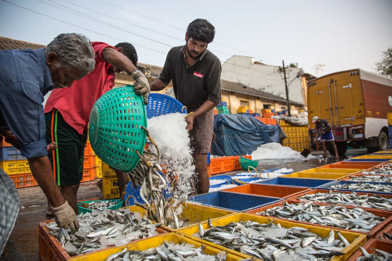 Промысел рынок. Рыба в Индии. Рыбный рынок в Шри Ланке. Рынок Мадагаскар. Керала Индия рыболовство.