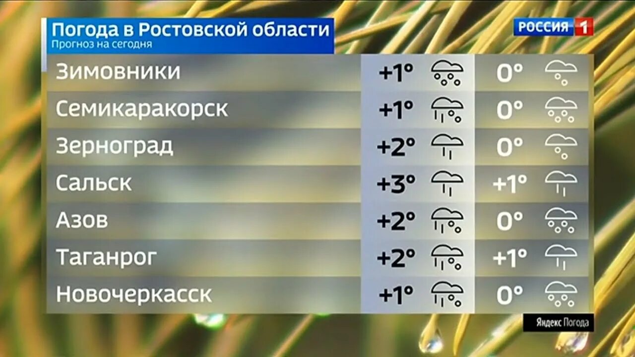 Прогноз погоды в Ростовской области. Погода в Ростовской обл. Вести Дон погода Россия 1.