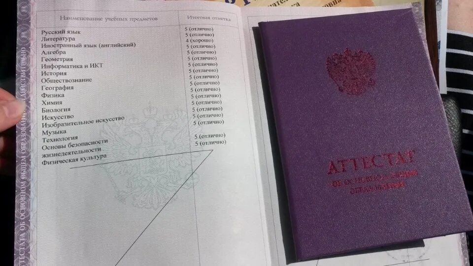 Высшее образование какие предметы